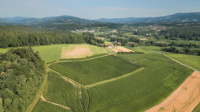 Aerial View near Kaindorf, Hartberg, Styria, Austria