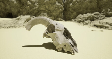 A rams skull sits isolated on the dry desert ground surrounded by rocky formations under a bright sky. The skull shows signs of weathering and age in this arid environment.