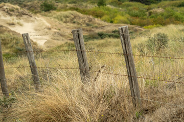 Old barbed wire fence protecting sand dunes in nature preserve