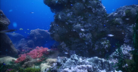 Beneath the surface, a stunning underwater world unfolds, showcasing vibrant corals and schools of fish exploring their lively habitat. Sunlight filters through, illuminating the scene.