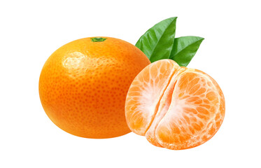 みかん イラスト リアル 白バック