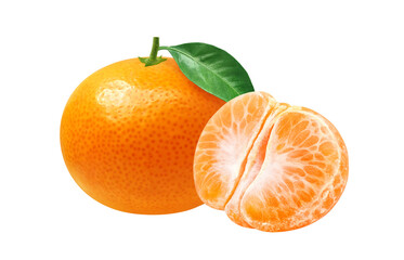 みかん イラスト リアル 白バック