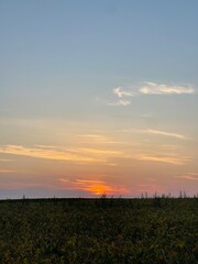sunset over the field