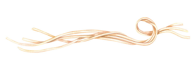 Boiled long spaghetti watercolor illustration on isolated background. Cooked Italian pasta, Asian noodles, traditional Chinese ramen for menu design, food blog, cookbook, web design.