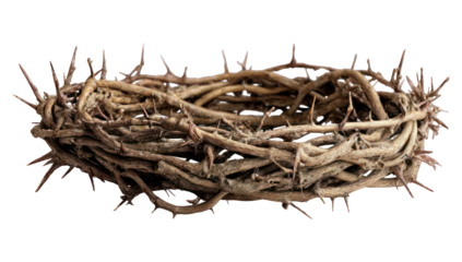 Dried thorny crown on black background