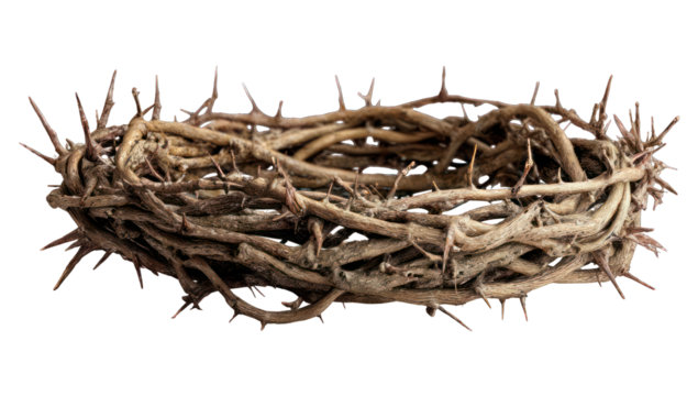 Dried thorny crown on black background