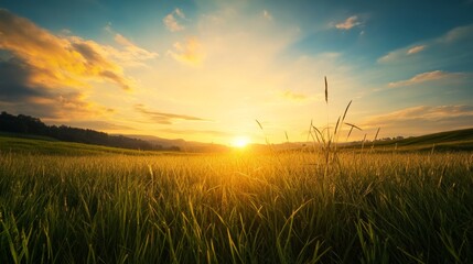 Fototapeta premium Sunrise over verdant fields nature landscape serenity rural environment expansive viewpoint tranquil beauty