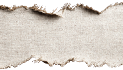 Torn cardboard strip