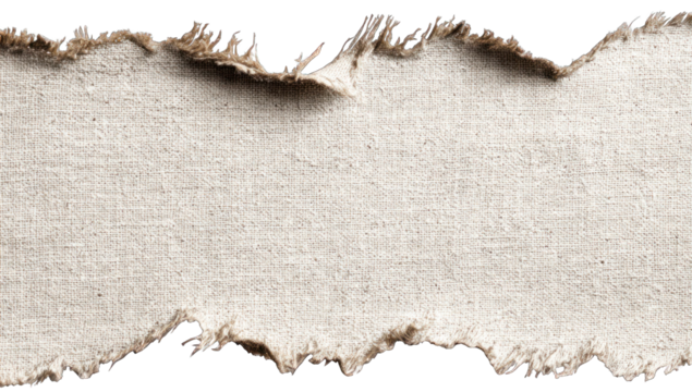 Torn cardboard strip