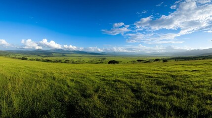 Obraz premium Vast green landscape open field nature scene bright day panoramic view tranquility and beauty of nature