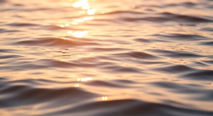 Close-up view of water surface, golden hues reflecting sunlight, exhibiting gentle ripples and smooth texture.