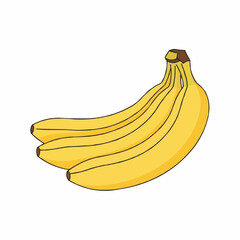 Bunch of Ripe Yellow Bananas Isolated on White Background Healthy Food Concept