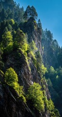 Steep mountain face with vibrant foliage