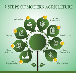 7 Step of modern agriculture infographics 