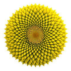 Abstract Yellow Flower with Fibonacci Spiral Pattern