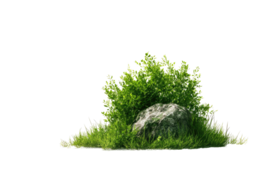 Lush green plants and a gray stone