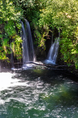 Obraz premium waterfall in the forest