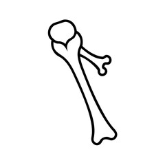 Abstract black background for graphic design and presentation templates