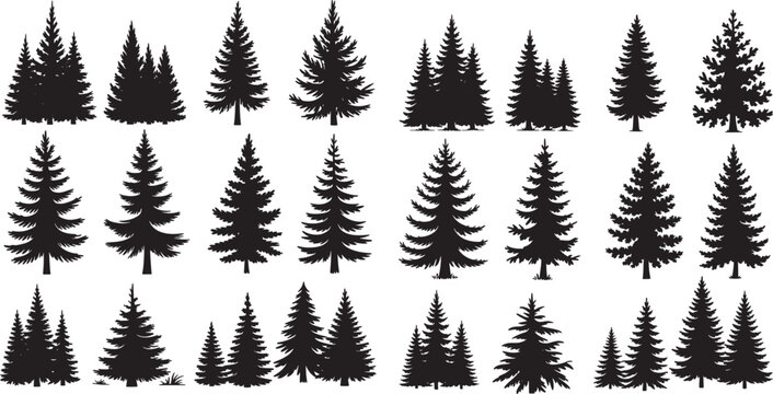 A festive set of winter forest trees, including pine and fir silhouettes, for your Christmas and holiday nature illustrations	
