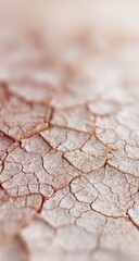 Obraz premium Close-up view of cracked, light-tan earth