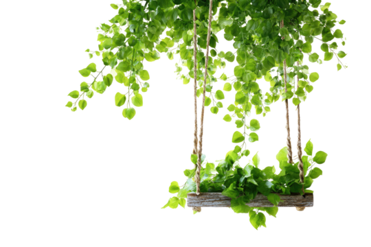 Hanging planter with vibrant greenery