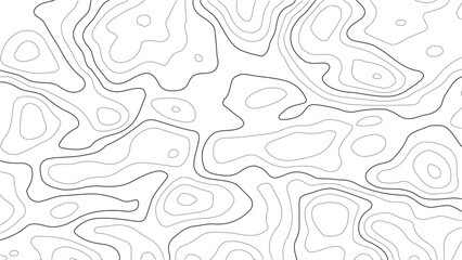 Topography grid relief vector design with minimalist white contour patterns, seamless abstract terrain mapping background for topographic, natural, landscape, hiking, and scientific artwork projects
