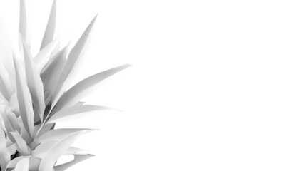 Monochromatic agave plant detail, sharp edges