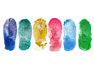 Row of multicolor fingerprints with crisp ridge patterns, delivered as a transparent PNG cutout with no shadow. Great for forensic or security visuals, education materials, infographics and banners.