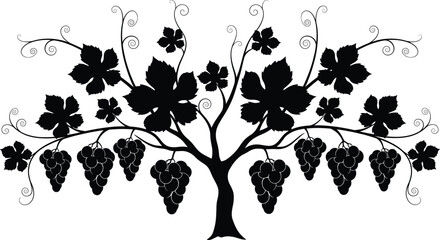 Naklejka premium Elegant Silhouette of Grapevine Tree with Multiple Grape Clusters and Leaves – Artistic Black and White Vector for Vineyard, Nature, and Decorative Designs
