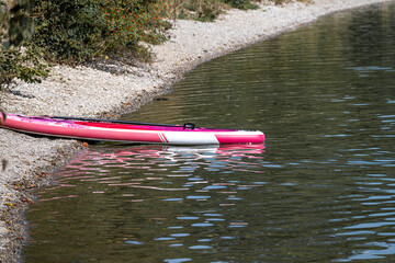 Paddleboard rests on the shore of a calm lake surrounded by nature in sunny weather