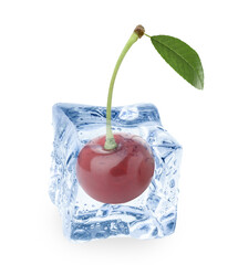 Fresh cherry in clear ice cube isolated on white