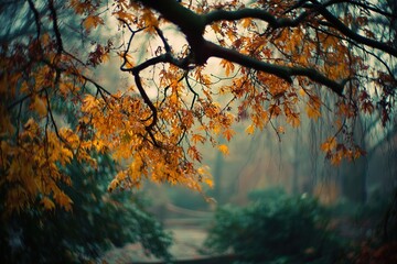 Autumn leaves create a warm glow in a foggy park during a tranquil morning