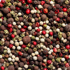Mixed peppercorns as background