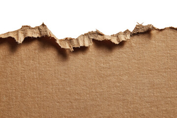 Torn cardboard edge close-up