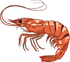 Flat vector illustration of red black shrimp icon in simple graphic design for seafood logo.