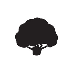 Cauliflower Vector (1).eps