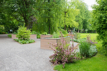 Raised wooden beds planted with herbs in the Bad Aibling spa gardens next to the path