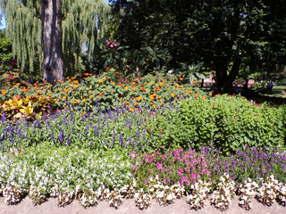 Flower bed in the park