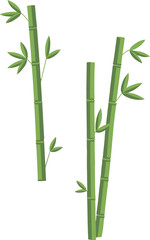 Two delicate green bamboo stalks with small leaves on a white background
