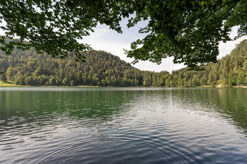 Serene lake surrounded by trees reflecting on calm waters in a mountainous region during daytime