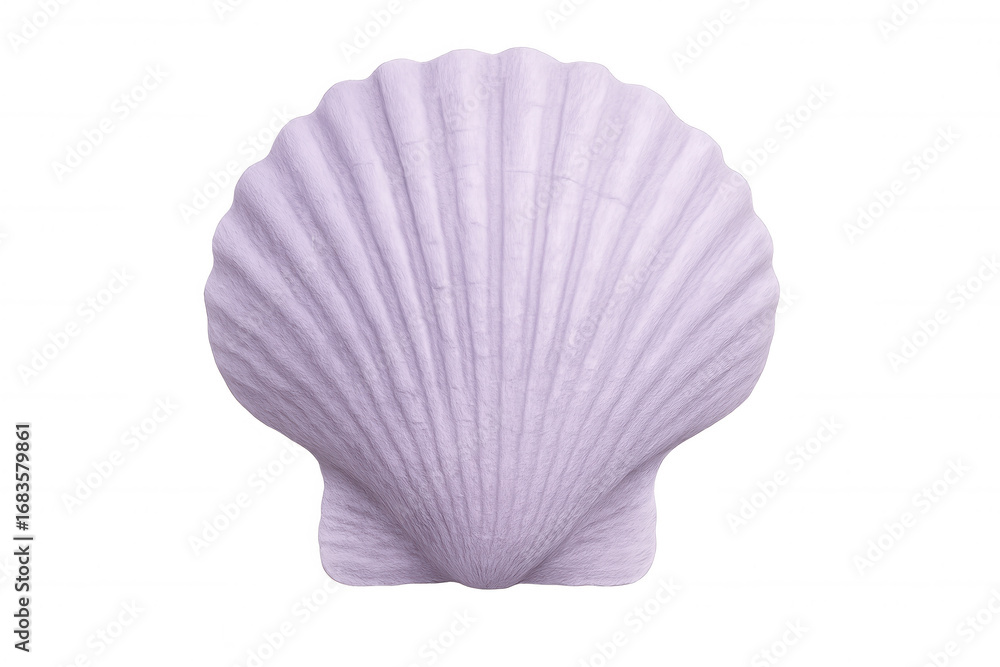 Poster pastel purple scallop shell displaying delicate ridges, softly gleaming on translucent surface with 