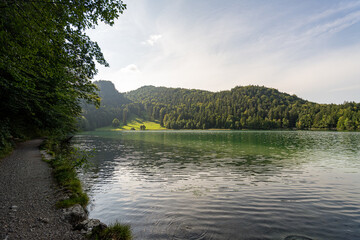 Scenic lakeside view with lush greenery and mountains in the background during a sunny day