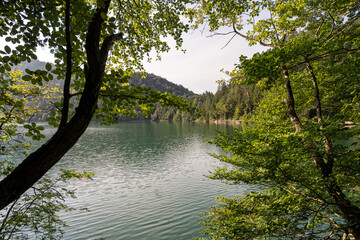 Tranquil lake view surrounded by lush greenery in a serene natural setting