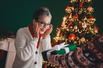 Elderly Woman Excitedly Receiving a Christmas Gift by the Festively Decorated Tree in Cozy Holiday Atmosphere at Home
