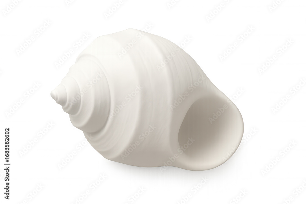 Poster pearlescent white conch shell displaying natural spiral patterns and smooth surface, highlighting ma