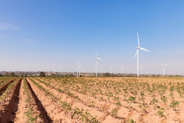 Field of wind turbines with motion blur on their blade using long exposure during sunny day and blue sky