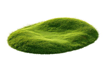 Oval patch of lush green grass