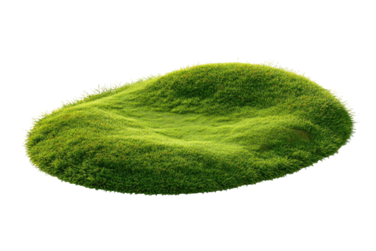 Oval patch of lush green grass