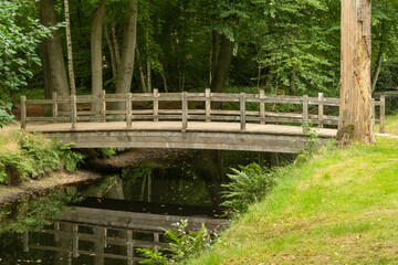 Wooden bridge crossing calm river in lush forest
