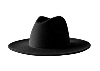 A dark,?smooth?felt?fedora?hat